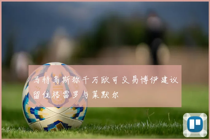 马特乌斯称千万欧可交易博伊建议留住格雷罗与莱默尔