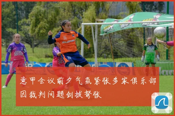 意甲会议前夕气氛紧张多家俱乐部因裁判问题剑拔弩张