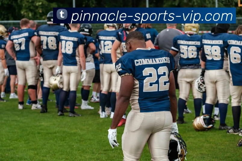 App Interface Preview