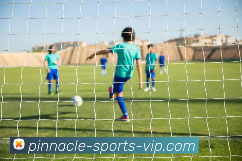 Pinnacle博彩APP 封面图