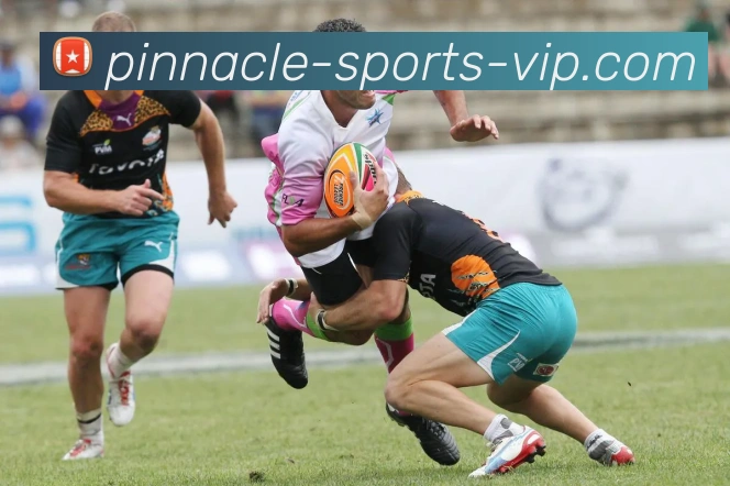 数据防护可视化